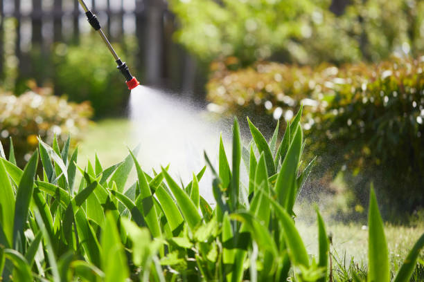 24/7 Emergency Ant Control experts in Marshall, IL